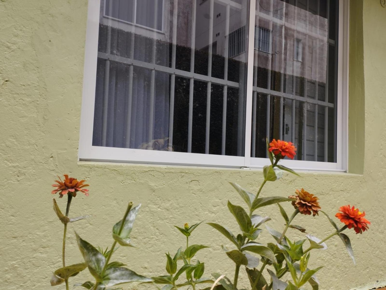 Charmoso Apto Com Clima De Casa Em Canasvieiras Florianópolis 외부 사진